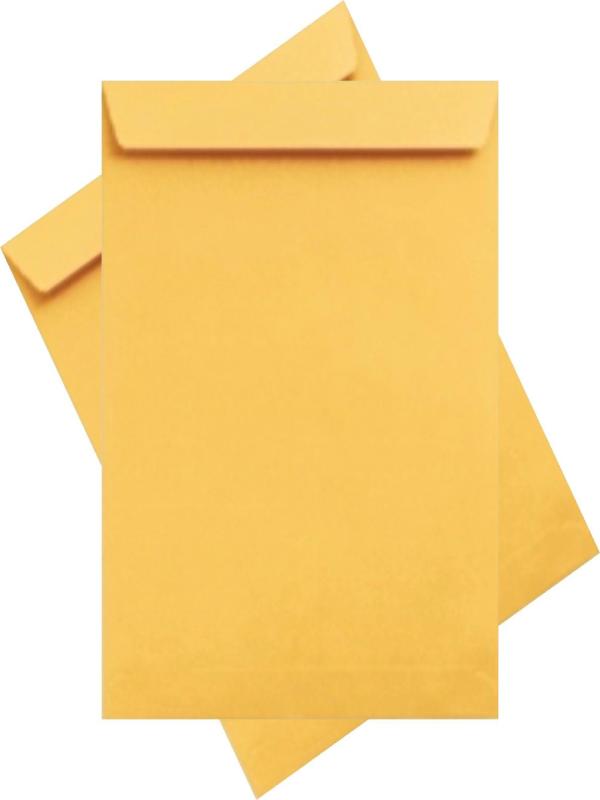 ASİL DOĞAN TORBA ZARF 32*42 SİLİKONLU FORMULA 95GR AS-0879