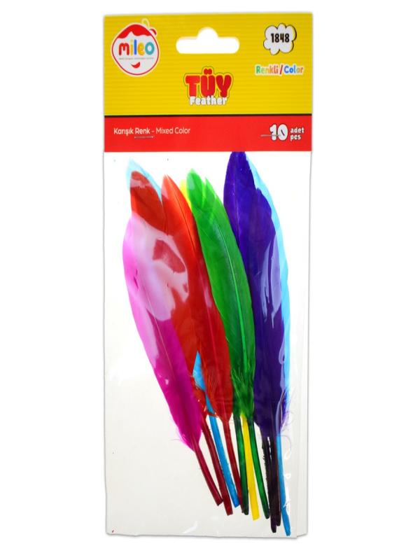 KUŞ TÜYÜ KARMA RENKLİ 1848