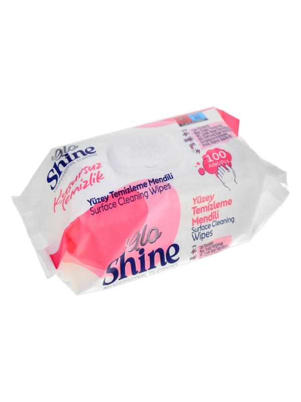 ALOSHİNE 100 LÜ YÜZEY TEMİZLİK HAVLUSU