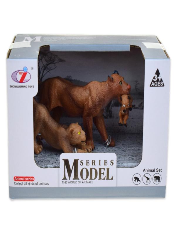 ASLAN AİLESİ Q9899-A21