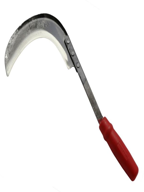 ÇAYIR ORAK ORTA KISA