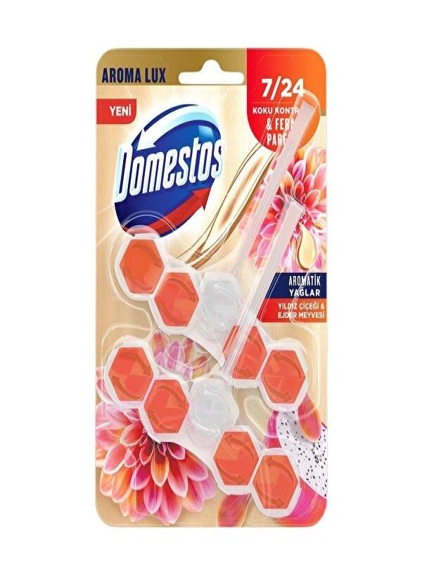 DOMESTOS WC BLOK LUX EJDER MEYVESİ 100 GR