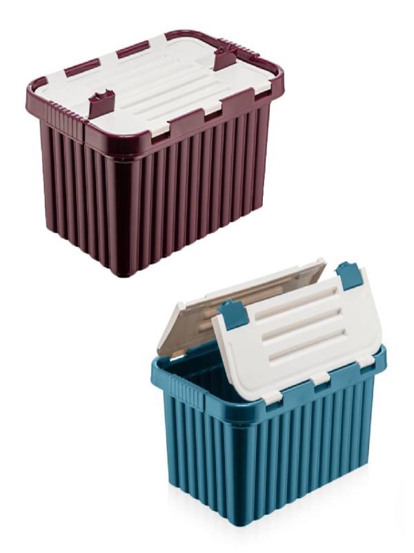 DÜNYA PLS SPLİT SAKLAMA KABI RENKLİ 33LT 20012