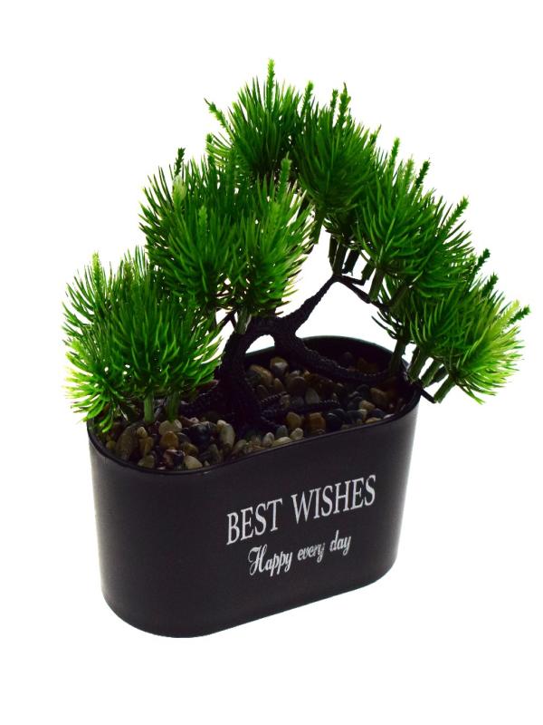 EVA ÇAM AĞACI KAYIK SAKSI 5829