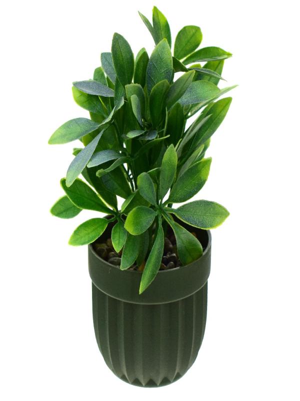 EVA PLASTİK KALİTE YAPRAK ÇİZGİLİ SAKSIDA 5793