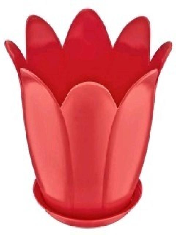 FREECOOK LALE SAKSI NO:2