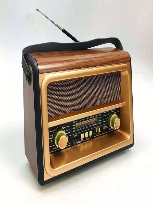 GOLON RADYO USB BLUETOOTH RX-BT89