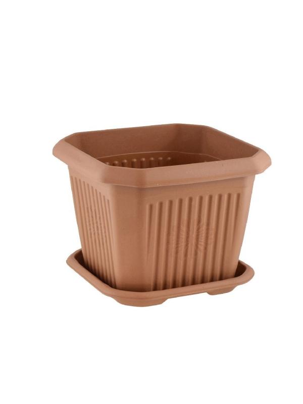 HAK PLS KARE SAKSI NO:0 (0,5LT) HP120