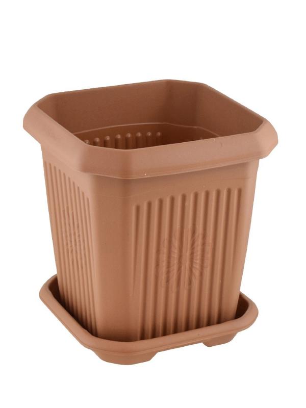 HAK PLS KARE SAKSI NO:6 (13LT) HP126