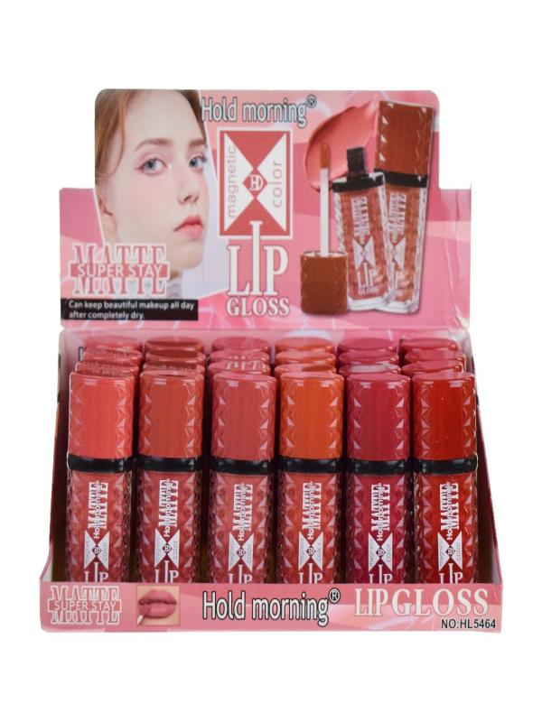 HOLD MORNING LİPGLOSS HL5464