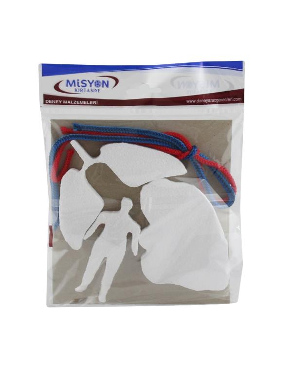 MİSYON DOLAŞIM SİSTEMİ ÇALIŞMASI