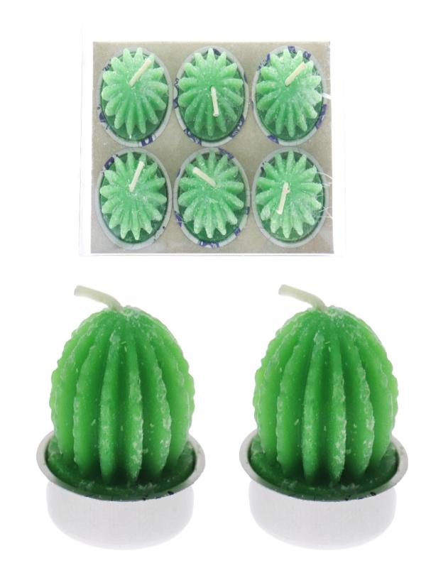 NUR KAKTÜS MUM TOMBUL 6 LI X-655