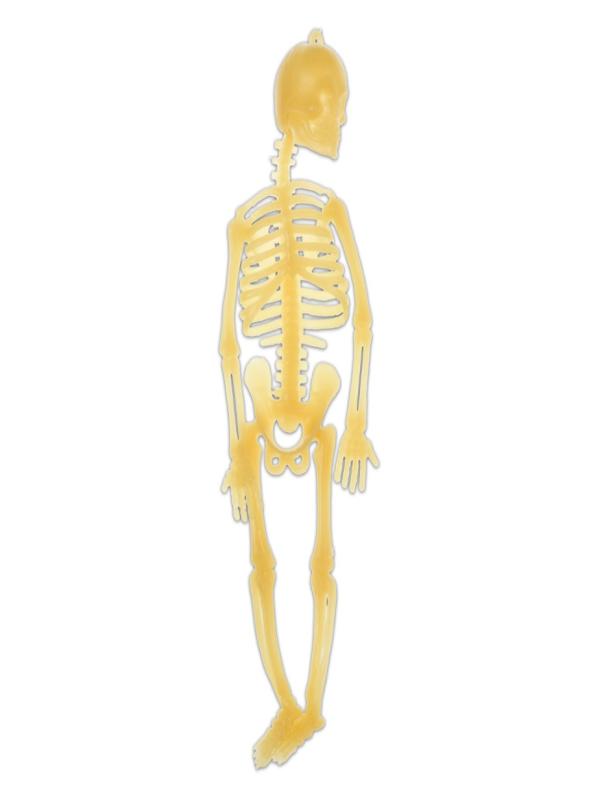 PLASTİK İSKELET 20 CM  MSY-5647