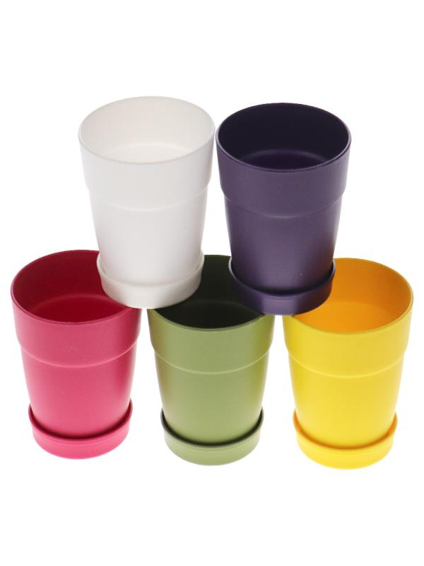 POLİWORK MANOLYA SAKSI MİX 7