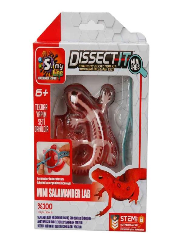 SLIMY DENEY SETİ 38085