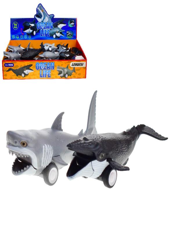 SÜRTMELİ OKYANUS HAYVANLARI H-35