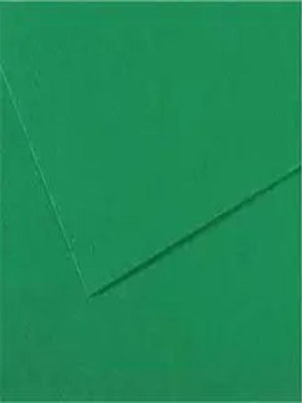 ALEX 50*70 YEŞİL FON KARTONU ALX-1330