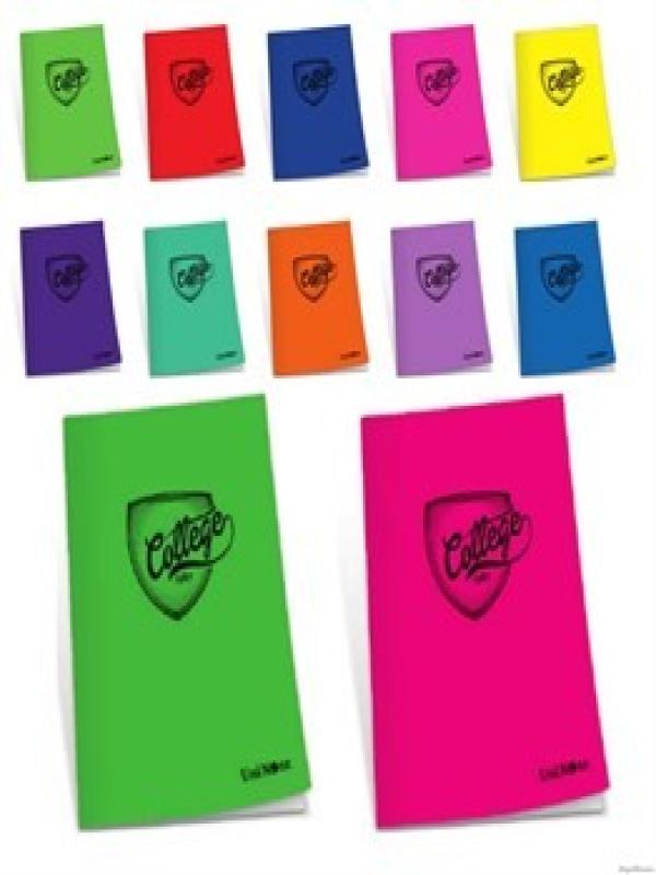 ÇINAR COLLEGE DİKİŞLİ PP KAPAK A5 40 YP. KARELİ DEFTER 75005
