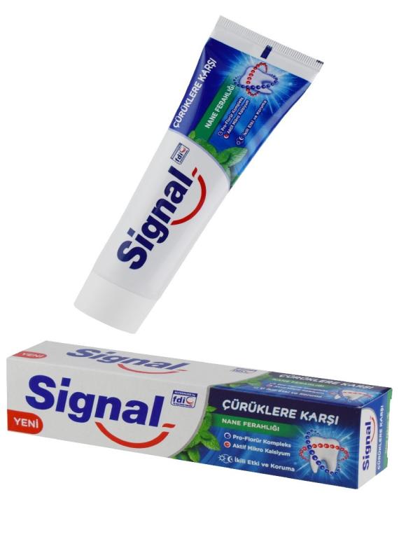 SİGNAL ÇÜRÜKLERE KARŞI NANE 100ML DİŞ MACUNU