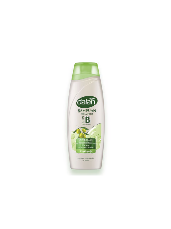DALAN ŞAMPUAN 450 ML ONARICI BAKIM