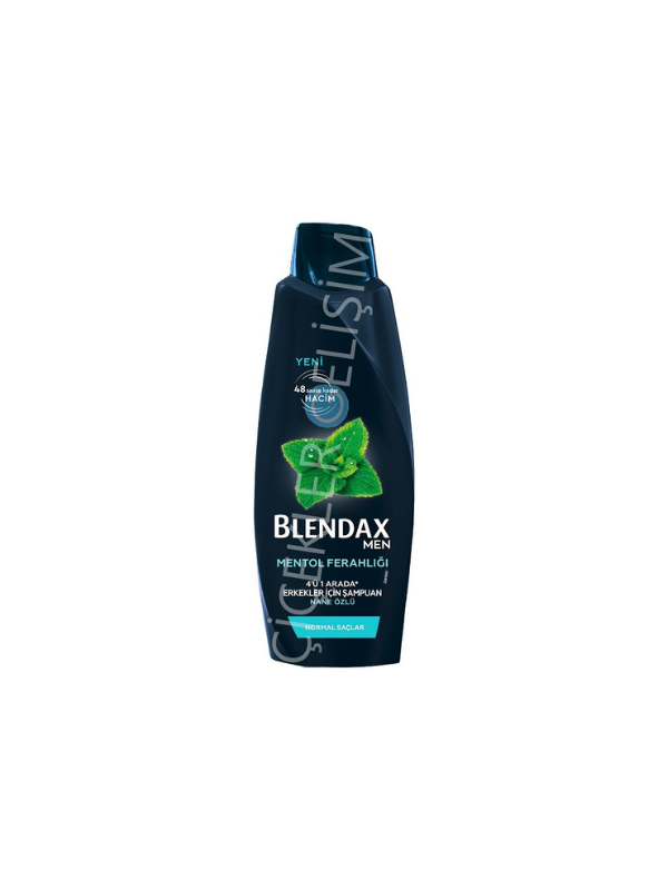 BLENDAX 500 ML ŞAMPUAN MEN MENTOL